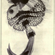 Illustration for article titled 110 Years Ago, These Microscopic Photos Horrified Londoners
